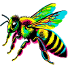 Bee