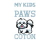 Coton de Tulear Papa