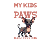 Hairless Dog Dad