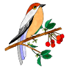 Bunter Vogel