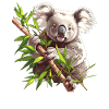 Koalas Koala