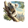 Koalas Koala