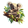 Koalas Koala