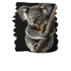 Koalas Koala