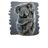 Koalas Koala