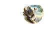 Koalas Koala
