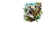 Koalas Koala