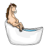 Baignoire pour chevaux