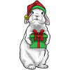 Bunny Christmas Package