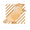 Armadillo - Drôle de dicton