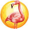 Flamingo Miami