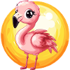 Flamingo Flamenco