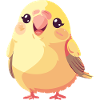 Budgie, Sparrow, Bird