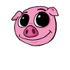 Pig Animal Head