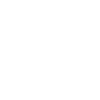 2029