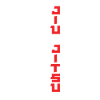 Jiu Jitsu American Flag