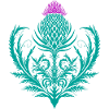 Distel Tattoo Scottish Thistle Botanical Art