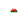 Cardiff Wales Welsh flag Welsh
