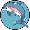 Dolphin Sea
