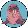 Walrus Sea Creatures Alaska