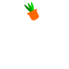 Happily married to plants