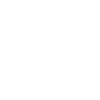 Strange white octopus