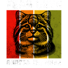 Chat andin Katze Andenkatze