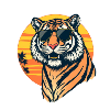 Sunset Safari