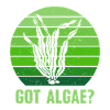 Algues