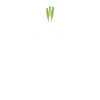 Leek ECG Heartbeat