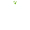 Leek ECG Heartbeat
