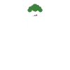 Broccoli ECG Heartbeat