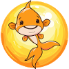 Fische Fischen Forellenteich