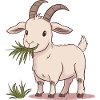 Ziege Steinbock