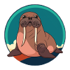 Walrus Marine Animals Marine Animal