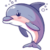 Dolphin Sea Animal Sea