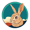 Rabbit Tooth Bunny Bunny
