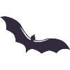 Bat