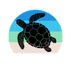 Hawksbill turtle sayings