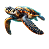 Tortue imbriquée