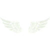 wing