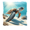 Tortue imbriquée