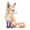 Fennec Renard Fenneks Fennek