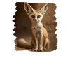 Fennec Renard Fenneks Fennek