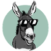 Donkey Donkey Mule Muli