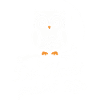 Nachteule Eule Eulen Vogel