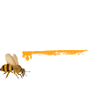 bee fast bees honey