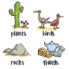 Plants birds rocks things