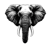 Éléphant