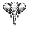 Éléphant